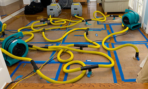 Professional Water Extraction technician working in Port Charlotte, FL